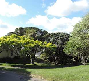 Im Botanischem Garten