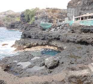 Naturpool