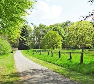 Rundgang durch den Rhododendronpark Verden