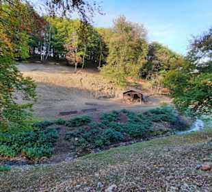 Direkter Kontakt zu den Tieren möglich