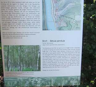 Impressionen Kräuterweg in Assmannshausen