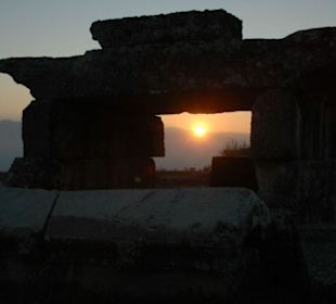 Die Toten rufen zum Gebet