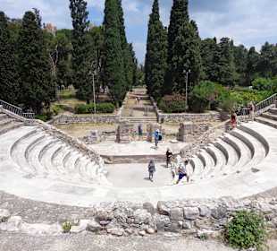 Amphibien-Theater
