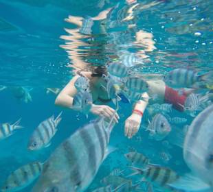 Schnorcheln