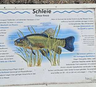 Fischlehrpfad