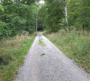 Altwege Rundwanderung Bebenhausen