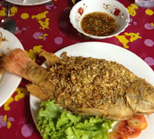 Lecker: in Knoblauch panierter Tliapia