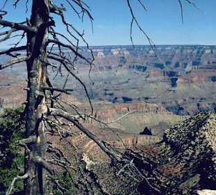 Grand Canyon