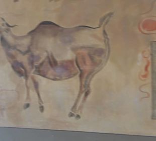 Museum Mensch und Natur