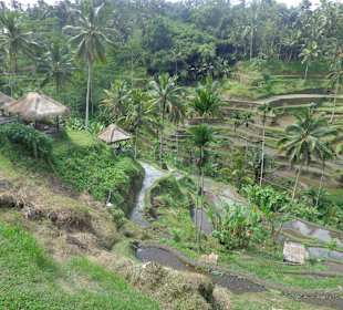 Blick auf die Terrassen