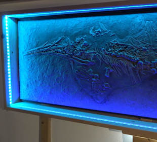 HöhlenSchauLand Hürben