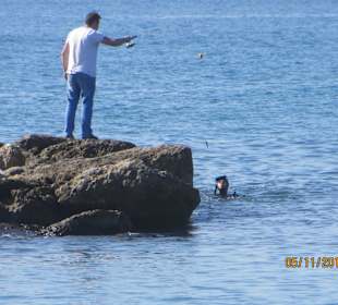 Hafeneinfahrt Taucher