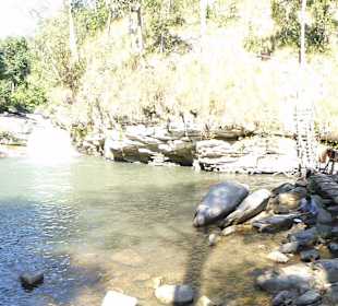 Das Paradies! Camp 1