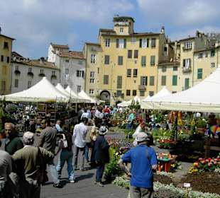 Markt in Lucca