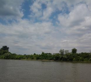 Summer colors of nature