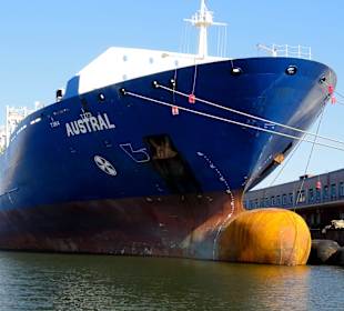 Impressionen von der Hafenrundfahrt