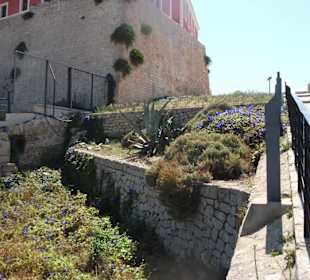 Auf dem Weg nach oben