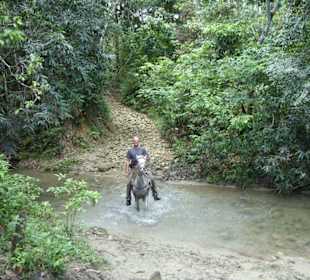 Keine Angst vor Wasser