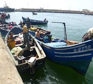 Fischerboote bringen frischen Fisch
