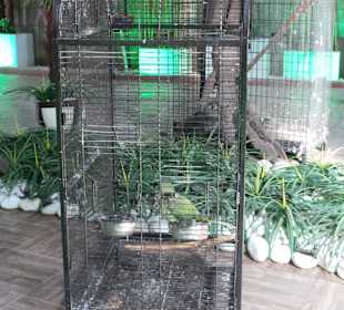 Discovery Park Manavgat