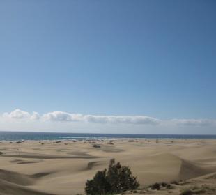Dünen Maspalomas