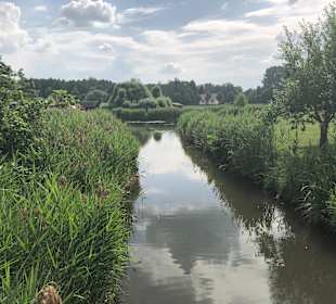 Idylle im Spreewald 