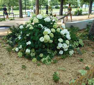 Les Hautes Promenades