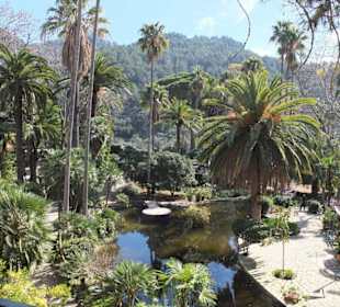 Garten mit Teich