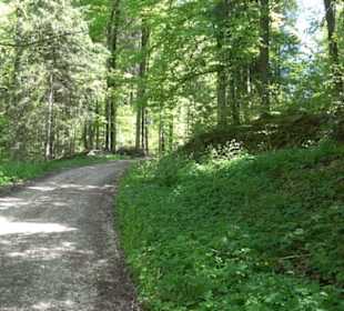 Magolsheimer Buchtalweg