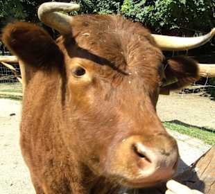 Tierpark Eilenburg