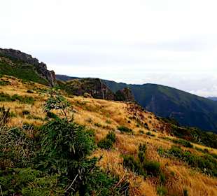 Pico do Arieiro
