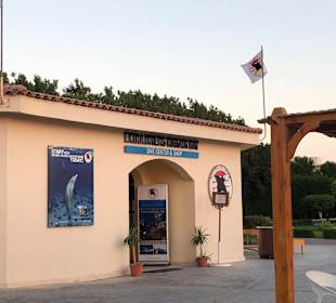 Die Extra Divers (Tauchschule)