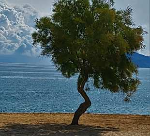 Strandpromenade Can Picafort