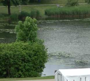 Tälesee