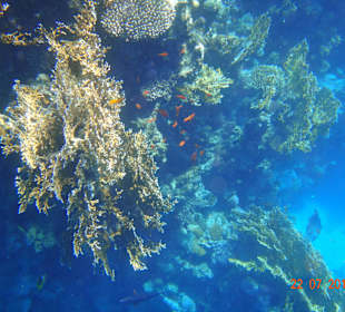 Widoki na snurkowaniu