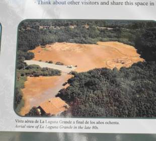 Bild vom ganzen Teil