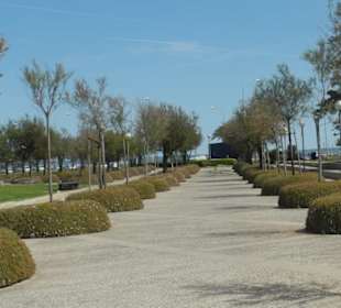 Parque de Mar