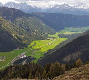 Blick vom Hörneggele