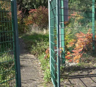 Ballspielplatz Tettnang