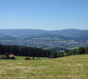 Blick vom Kronberg ins Regental und Viechtach