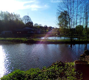 Wanderweg Sagenhafter Waldpfad Landstuhl