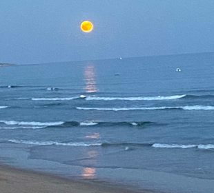 Strand Senhora da Rocha