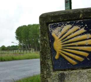 Típica concha del camino de Santiago