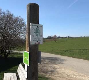Premiumwanderweg "hochgeblickt"