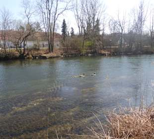 Rundwanderung Haimhausen