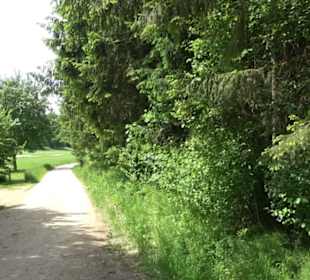 Klimaweg Sonnenalb