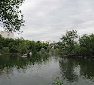Zoo Moskiewskie