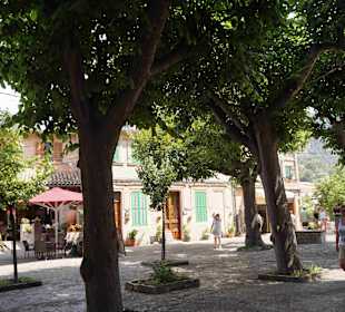 Altstadt Valldemosa