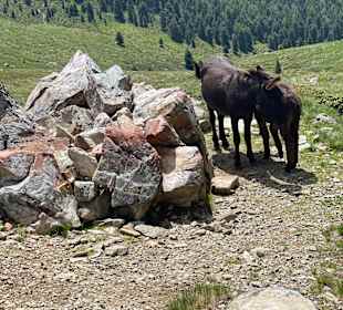Wandern Luttach