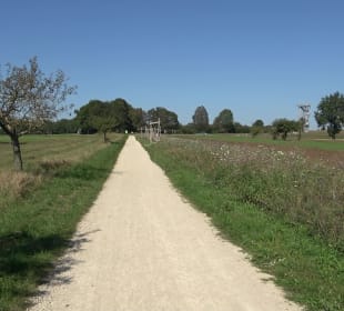 Elsachstadt Tor F Burrenhof Erkenbrechtsweiler
